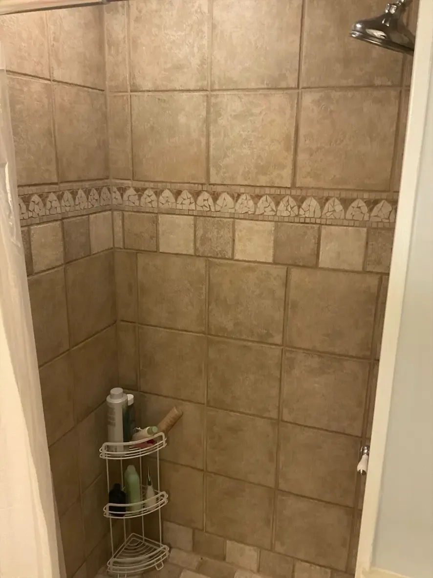 McCree Bathroom Renovation before photo