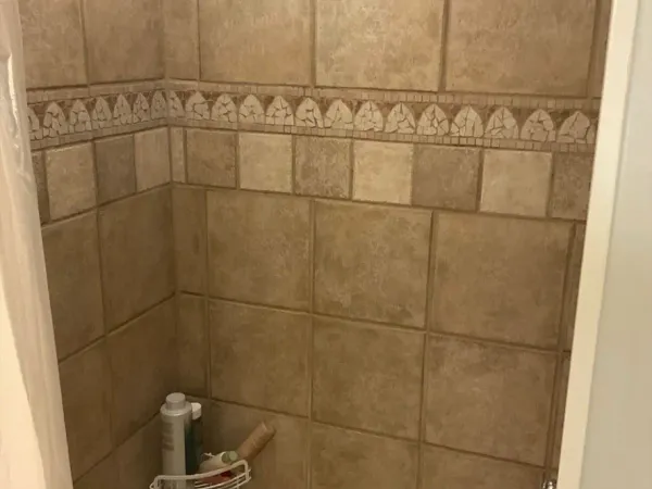 McCree Bathroom Renovation before photo