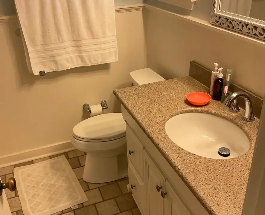 McCree Bathroom Renovation — before