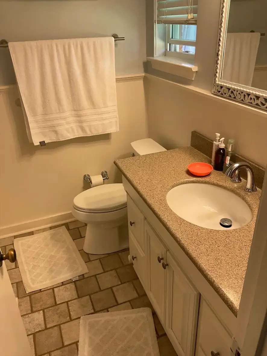 McCree Bathroom Renovation — before